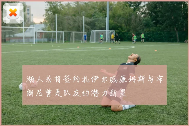 湖人或将签约扎伊尔威廉姆斯与布朗尼曾是队友的潜力新星
