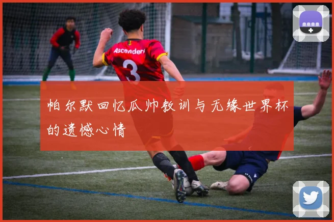 帕尔默回忆瓜帅教训与无缘世界杯的遗憾心情